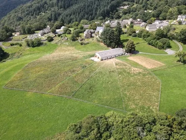 Safran de Murols - Ferme de Murols, OFFICE DE TOURISME DU CANTON DE MUR DE BARREZ
