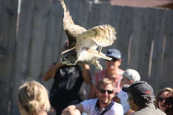 Parc animalier de Pradinas, Parc animalier de Pradinas