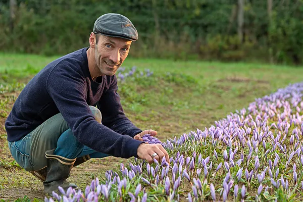 My Home Farmer, la maison du safran et des aromatiques