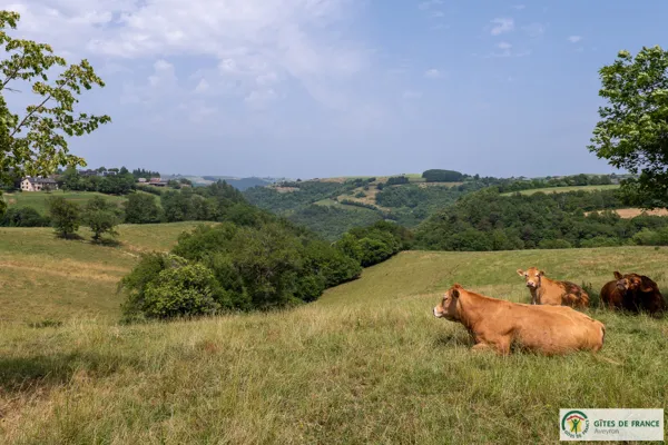 GITE LA GRANGE CONTENSOUS - L'environnement