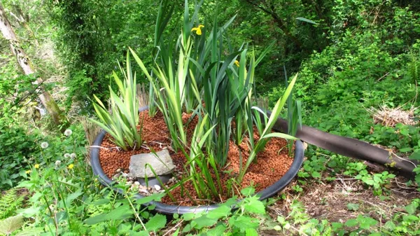 Phytoépuration, La Roquette