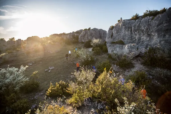 Solution Sport (groupes), Solution Sport