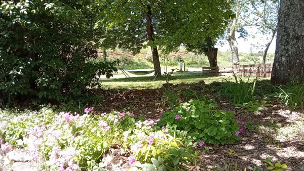 Parc arboré, Domaine d'Andabre