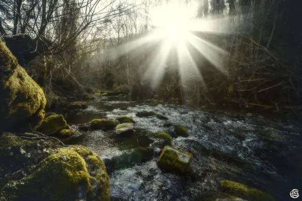 Le Château de Sorgues, Le Château de Sorgues