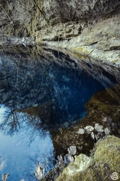Le Château de Sorgues, Le Château de Sorgues