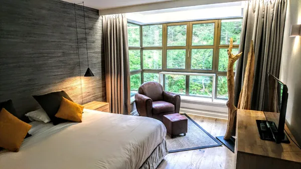 CHAMBRE HOTEL DE LA MUSE ET DU ROZIER, 