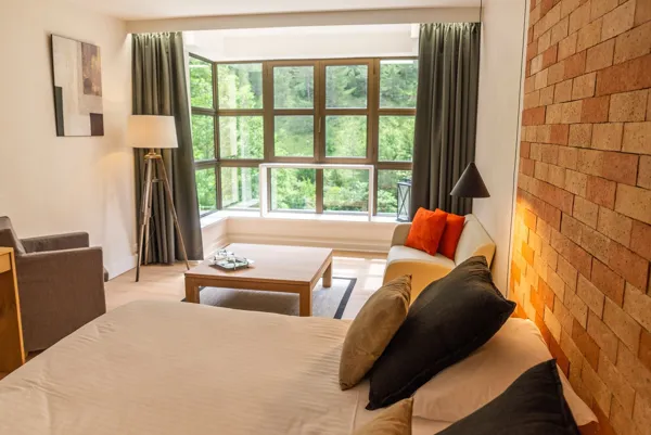 CHAMBRE HOTEL DE LA MUSE ET DU ROZIER, 