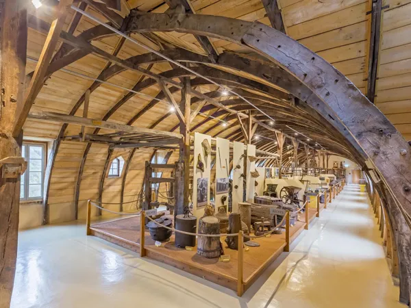 Musée des arts et métiers traditionnels - salle du monde animal, V. Boutin pour Occitanie musées