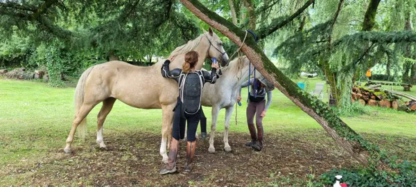La parenthèse nature - Chambres d'hôtes, Richard Vannier
