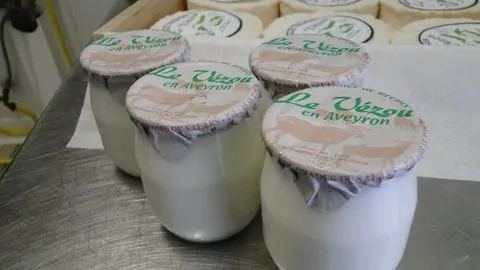 GAEC BOUTET-PUECH, fromage au lait de brebis, SYNDICAT D'INITIATIVE DE PONT DE SALARS