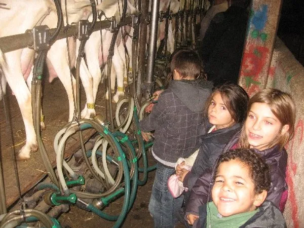 La joie des enfants de traire les biquettes, OT Terres d'Aveyron