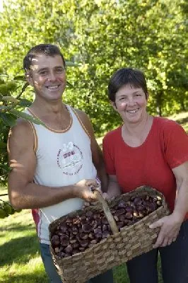 Goûtez La Châtaigne - Marrons de l'Aveyron, OFFICE DE TOURISME DU CANTON D'ENTRAYGUES SUR TRUYERE
