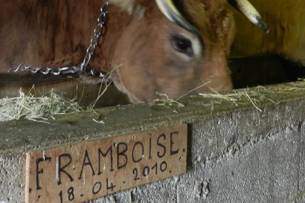 Ferme Pédagogique et d'Animation de Prignolles, OFFICE DE TOURISME DE MILLAU