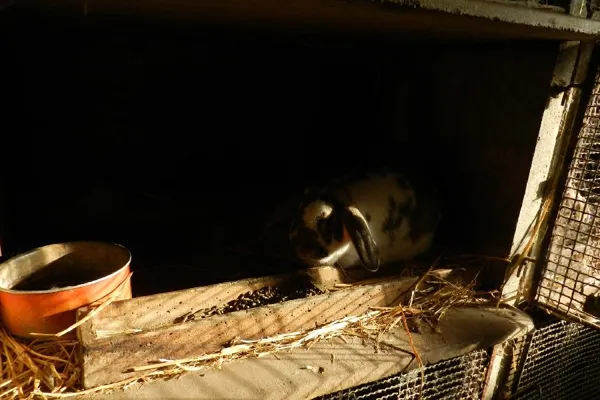 Ferme Pédagogique et d'Animation de Prignolles, OFFICE DE TOURISME DE MILLAU
