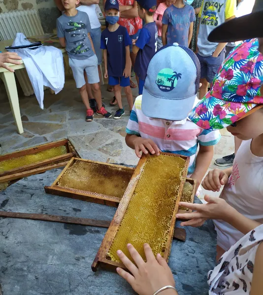 Le Miel du Pays de Conques, OFFICE DE TOURISME de CONQUES-MARCILLAC