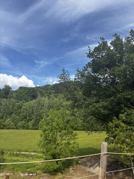 Vue de la bulle, Vue de la bulle