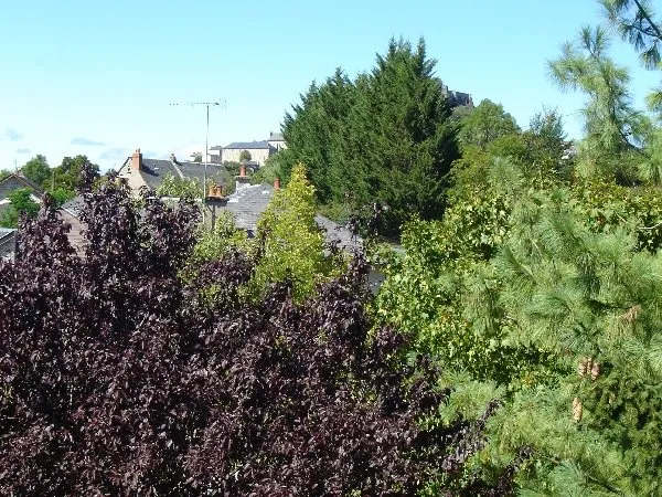 Alphonse et Suzy COUSI -16©AetS-COUSI-Causses-Aubrac.jpeg, OFFICE DE TOURISME DE SEVERAC LE CHATEAU