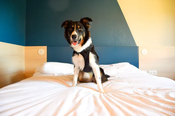 Ibis Budget Millau Viaduc (groupes), Benoit PRAT