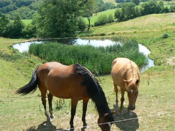 CAMPING DE TRIONAC, Mme Amilhau