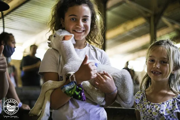 Rencontre avec les animaux dans la bergerie, Virginie Govignon - OT Larzac Vallées