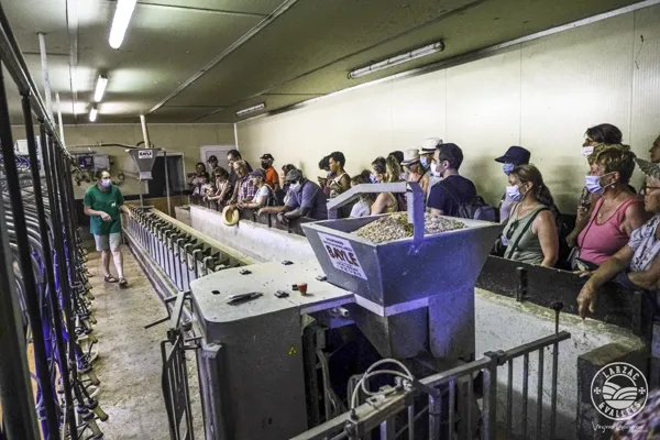Visite de la salle de traite, Virginie Govignon - OT Larzac Vallées