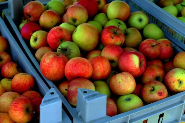 Journées Jus de Pomme