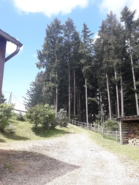 Gîte du Cassan, Gîte du Cassan