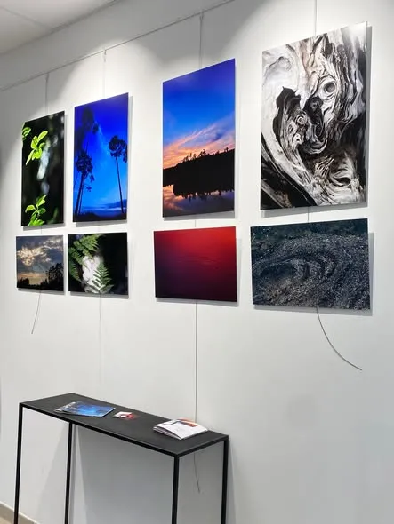 Exposition