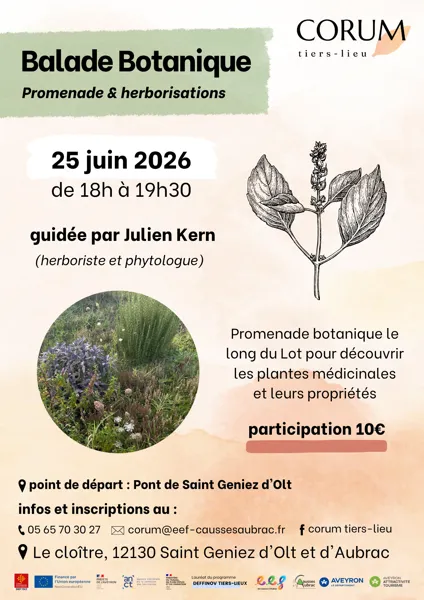 Semaine de la biodiversité : balade botanique