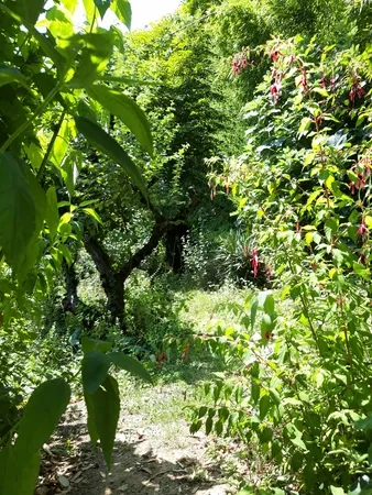 Le jardin de Baldine - Jardin