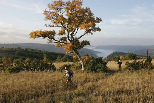 Millau Espace Trail, OFFICE DE TOURISME DE MILLAU