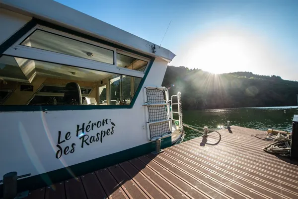 Croisière découverte sur le Tarn, Heron des Raspes