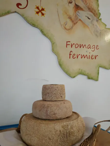 GAEC d'Ambias, OFFICE TOURISME DU PAYS DE LA MUSE ET RASPES DU TARN