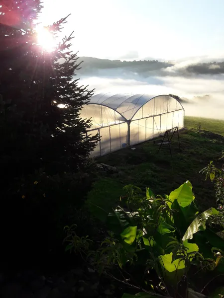 La spiruline du Mas de Fraysse, OFFICE TOURISME DU PAYS DE LA MUSE ET RASPES DU TARN