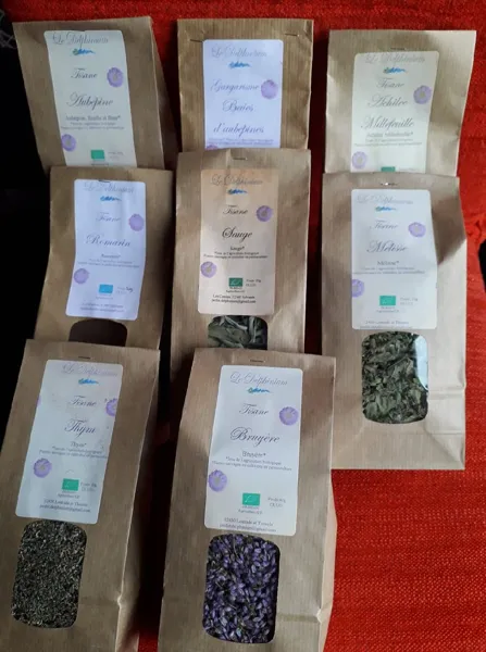 Jardin le Delphinium, OFFICE TOURISME DU PAYS DE LA MUSE ET RASPES DU TARN