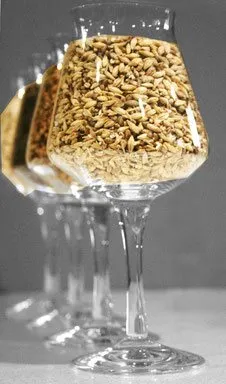 Brasserie de la Muze, OFFICE TOURISME DU PAYS DE LA MUSE ET RASPES DU TARN