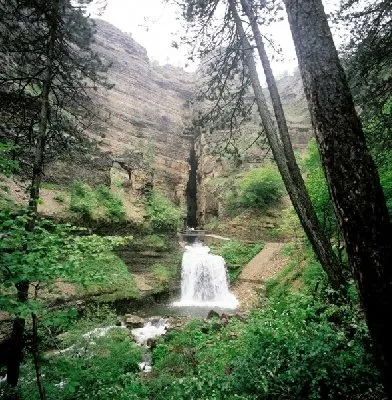 Abîme de Bramabiau (Camprieu, Cévennes), PASSET Christian