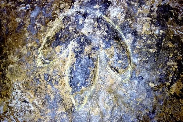 Abîme de Bramabiau (Camprieu, Cévennes), Abîme de Bramabiau