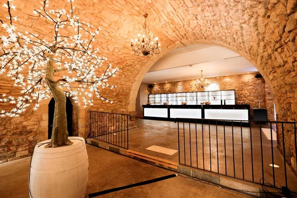 Château de Fontanges - Salle de réception, château de Fontanges