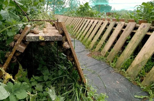 L'escargot des sarradelles, OFFICE DE TOURISME DE PARELOUP LEVEZOU