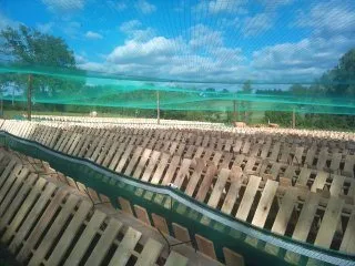 L'escargot des sarradelles, OFFICE DE TOURISME DE PARELOUP LEVEZOU