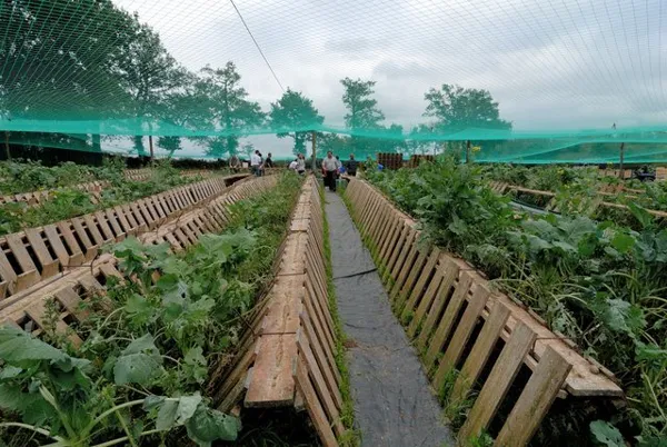 L'escargot des sarradelles (groupes), OFFICE DE TOURISME DE PARELOUP LEVEZOU