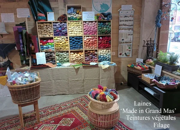 Laurence Vidal-Meriot - Laines 