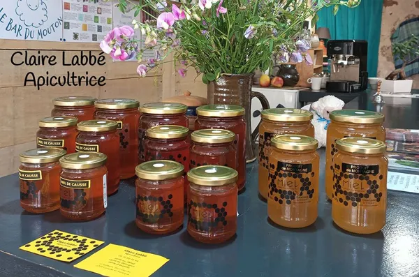 Claire Labbé - Miel, Laurence Vidal-Meriot