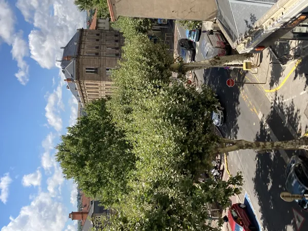 Vue depuis une fenêtre du séjour