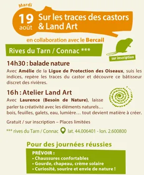Journée pleine nature : Land’art