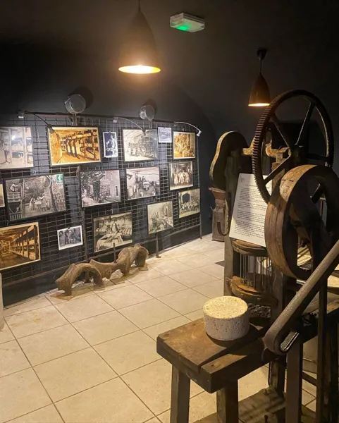 Maison Gabriel Coulet, Elodie Pezous