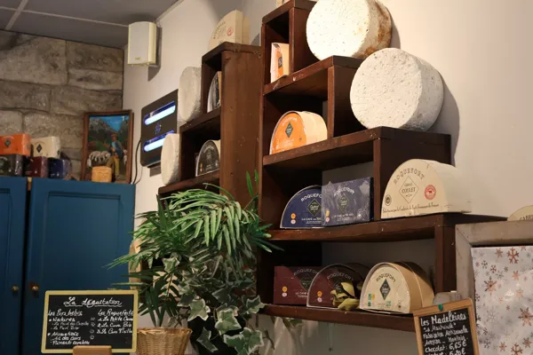 Maison Gabriel Coulet, Elodie Pezous