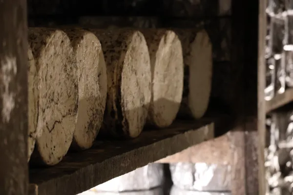 Maison Gabriel Coulet, Elodie Pezous