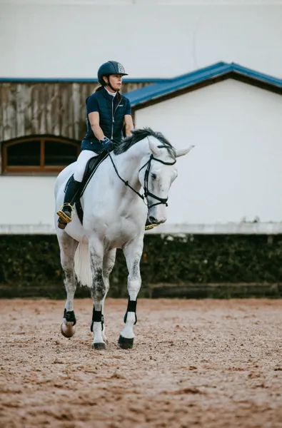 Stages au centre équestre de la Muse - Dressage